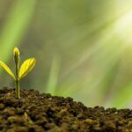 Você tem resiliência financeira? Faça o teste e descubra